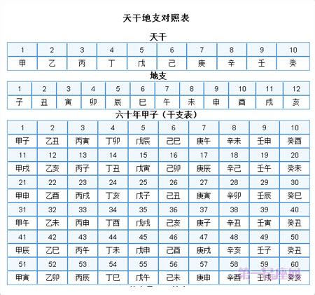 生肖 天干|十二天干地支对照表 十天干和十二地支详解